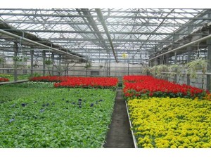 智能日光温室大棚