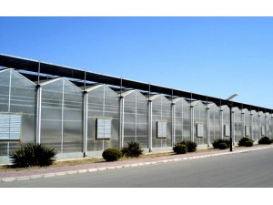 阳光板连栋温室