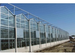 玻璃连栋温室大棚