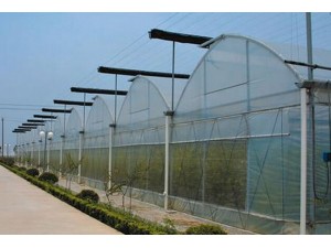 全膜连栋温室大棚