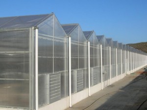 PC板连栋温室