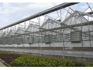 全开启式连栋温室