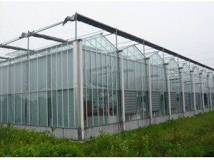 玻璃连栋温室
