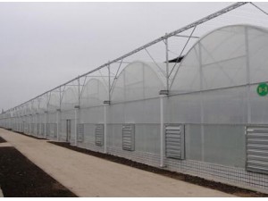 顶膜侧板连栋温室