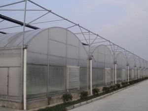 薄膜连栋温室