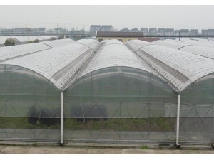 全膜连栋温室