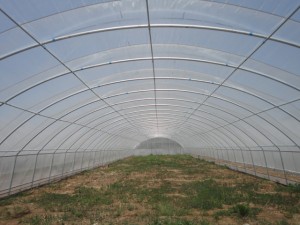 春暖日光温室大棚