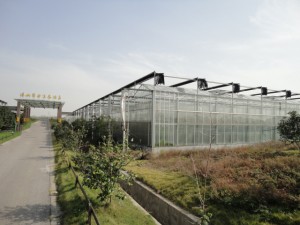 玻璃温室