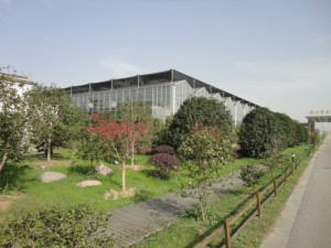 东山玻璃温室