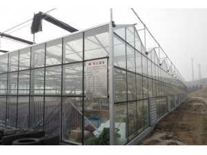 东山玻璃连栋温室