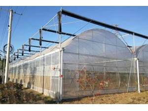 薄膜温室厂家