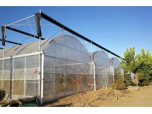 薄膜连栋温室