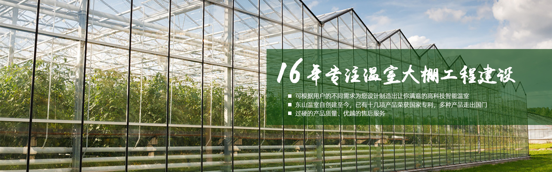 16年专注温室大棚